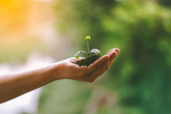 How are UK businesses balancing growth with environmental responsibility?